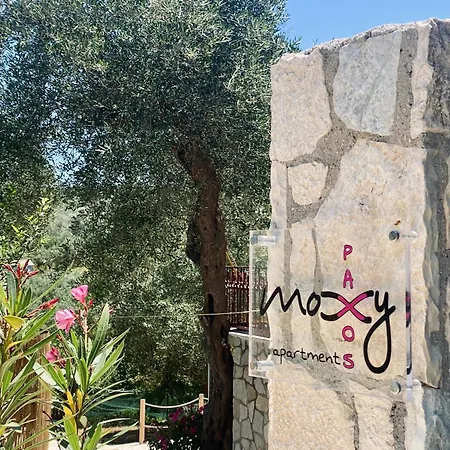 Moxy Paxos - Cozy * Gaios